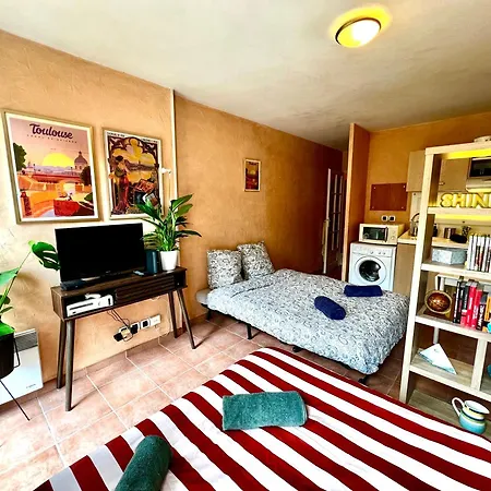 Escapade Toulousaine, Confort Et Bien Situe Apartment