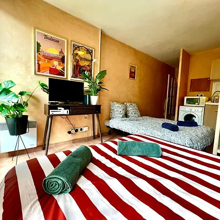 Escapade Toulousaine, Confort Et Bien Situe * Toulouse
