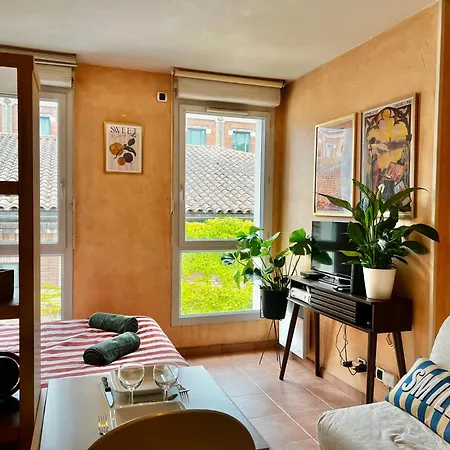 Escapade Toulousaine, Confort Et Bien Situe Lejlighed Toulouse