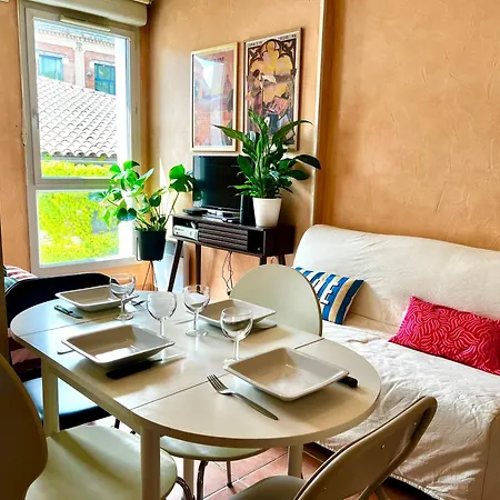 Escapade Toulousaine, Confort Et Bien Situe Apartment Toulouse