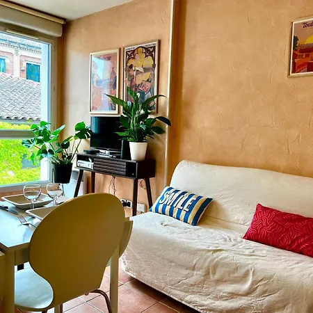 Escapade Toulousaine, Confort Et Bien Situe *