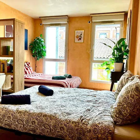 Escapade Toulousaine, Confort Et Bien Situe Lejlighed