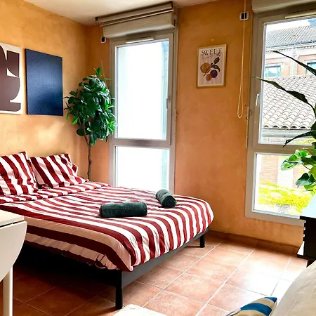 Escapade Toulousaine, Confort Et Bien Situe * Toulouse